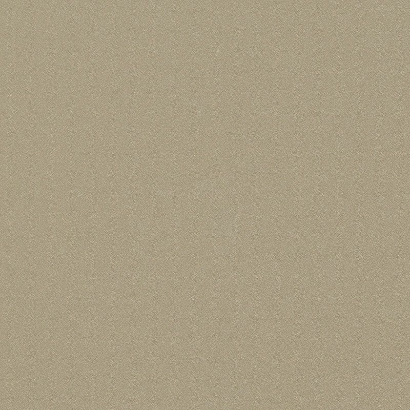 Stone beige | F470-1028 smoothgrain